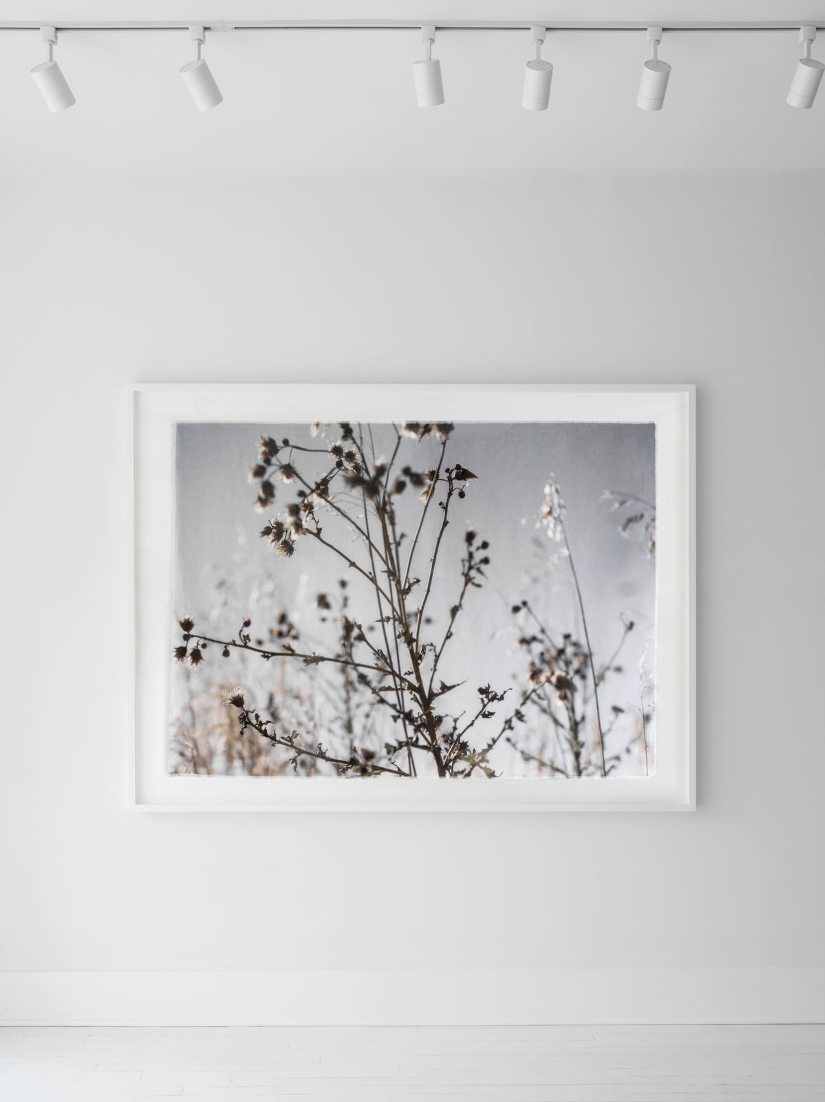 Cas Friese, linen no. 8881, 2022