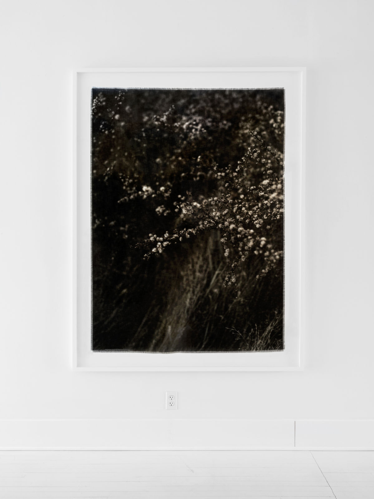 Cas Friese, linen no. 5654, 2022