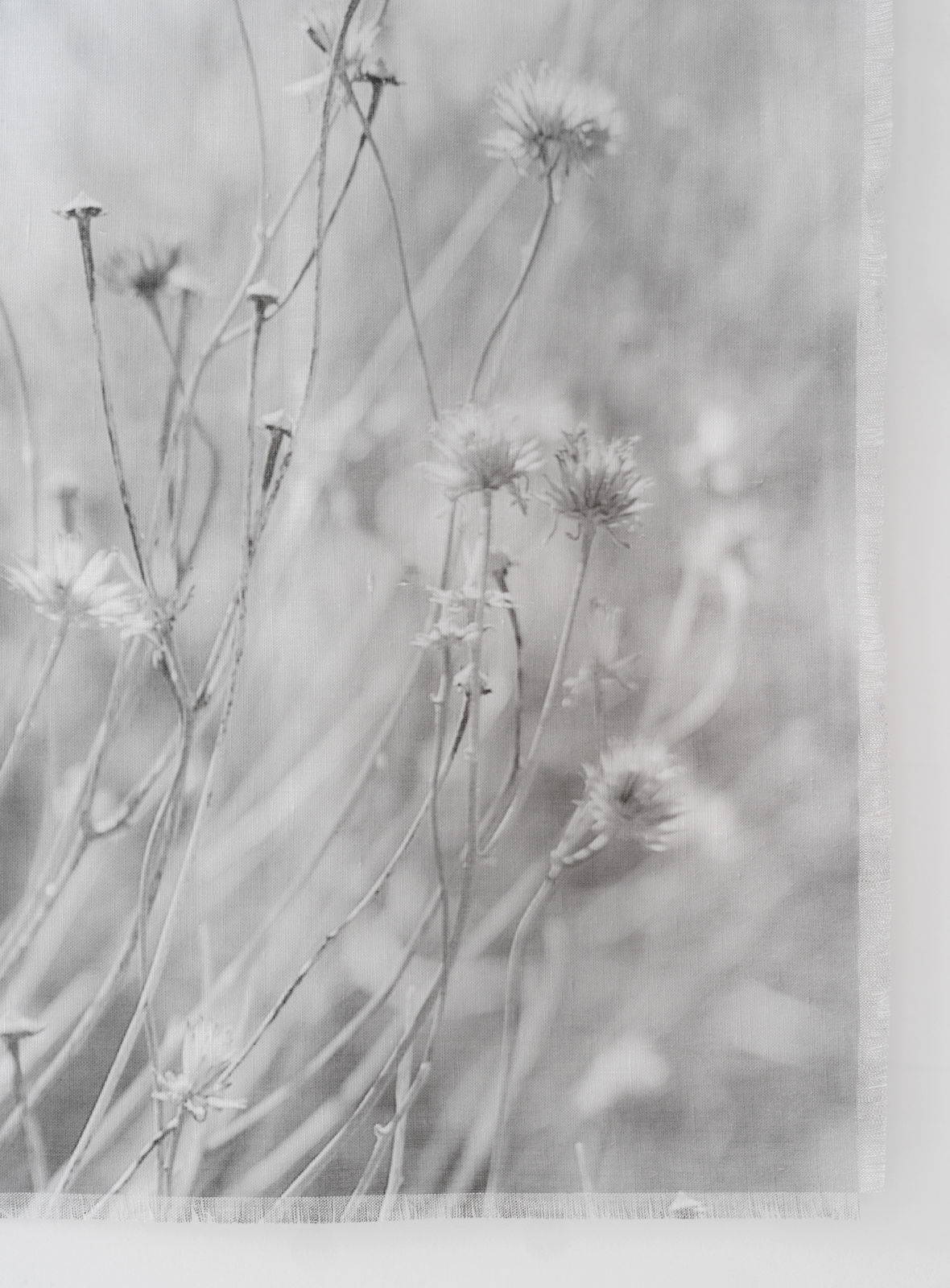 Cas Friese, linen no. 0996, 2022