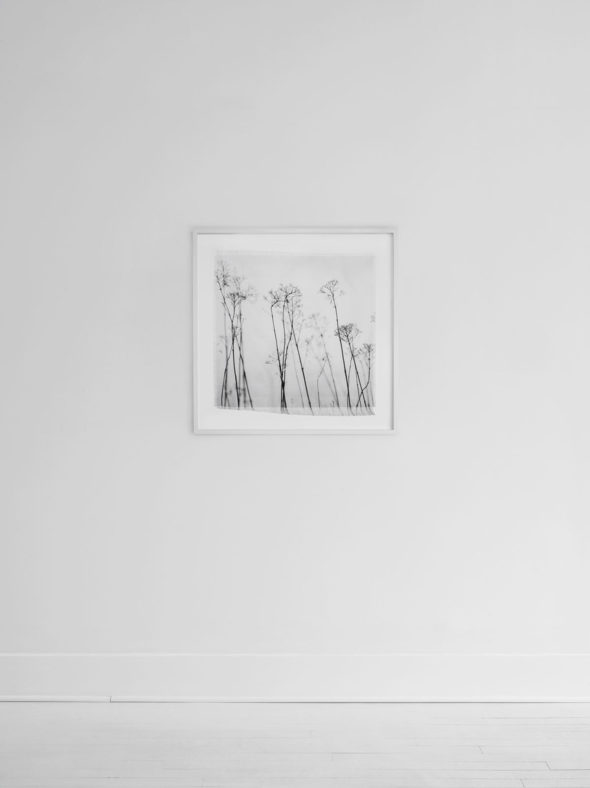 Cas Friese, linen no. 6292, 2022