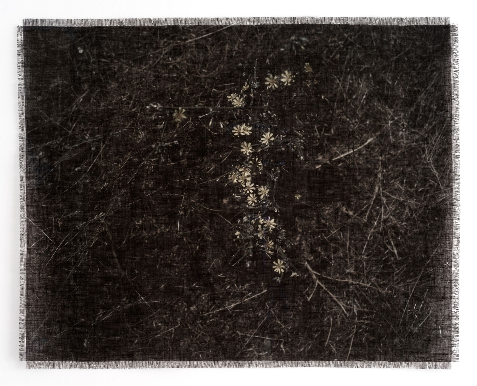 Cas Friese, linen no. 00119, 2022