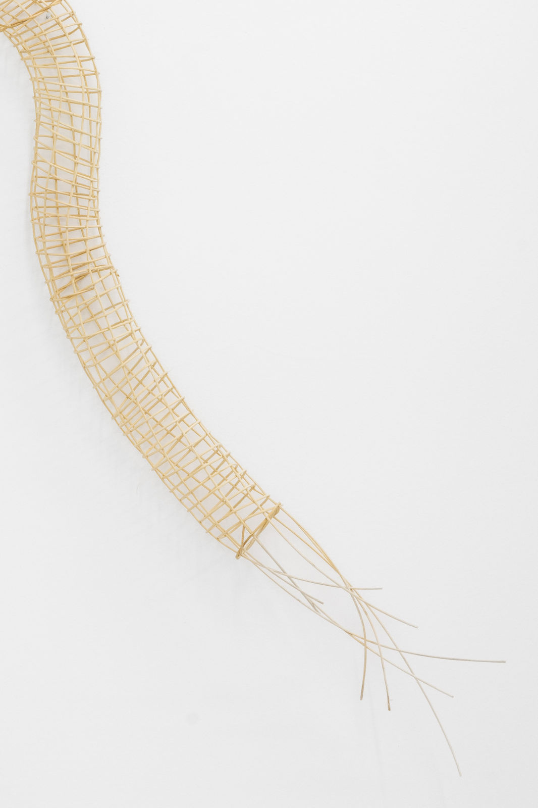 Eliza Bentz, New Portal, 2026