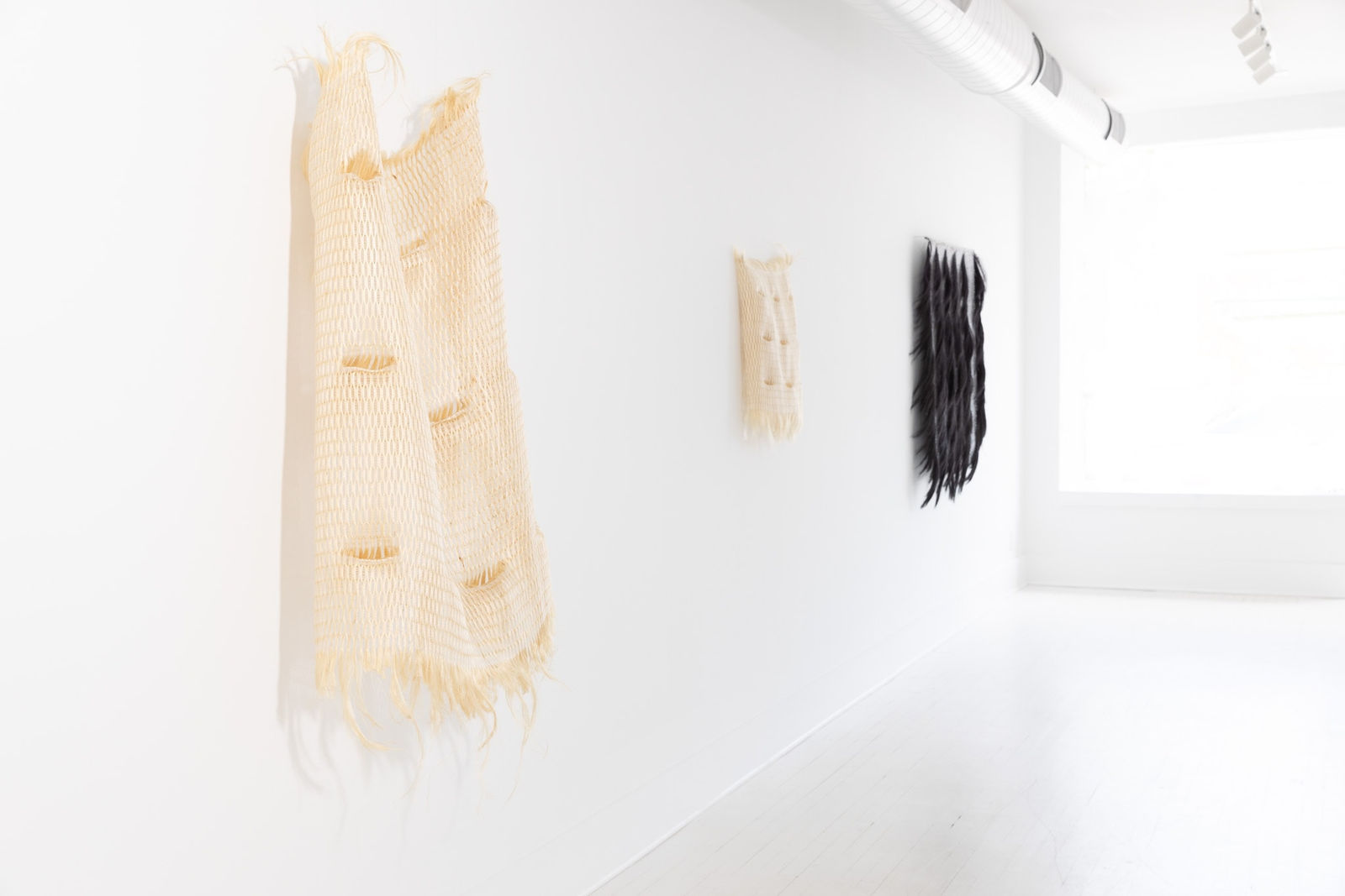 Molly Haynes, Carapace, 2022