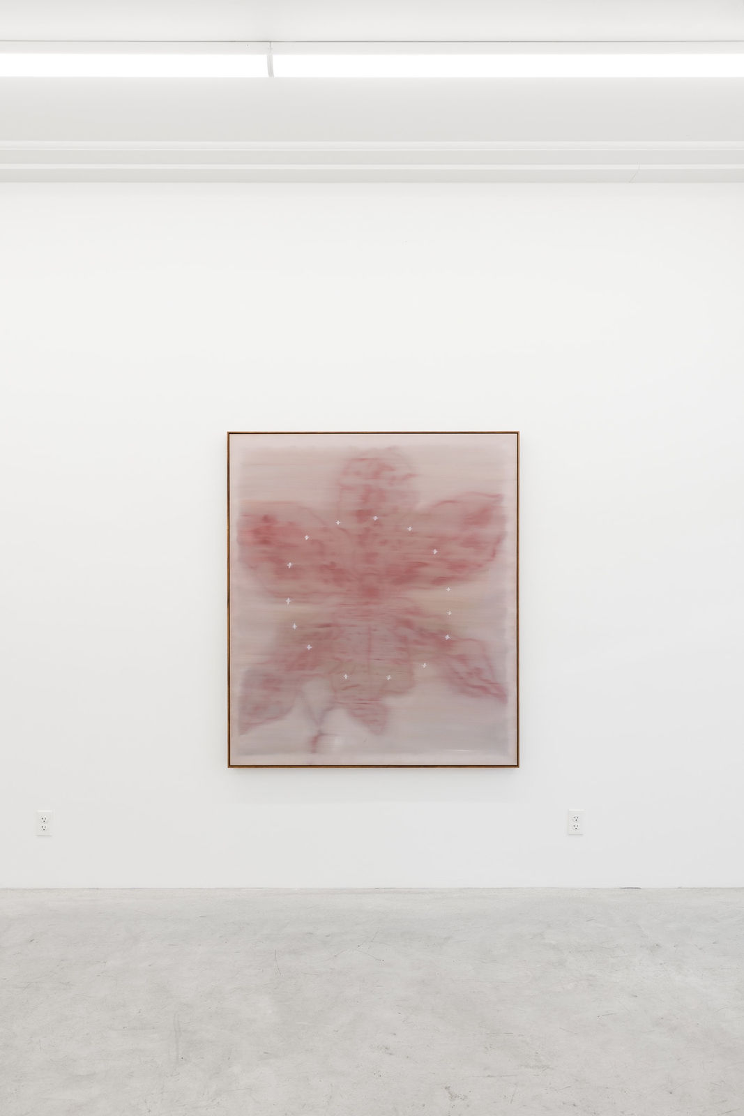 Heath Wae, In Crimsons Court, 2025