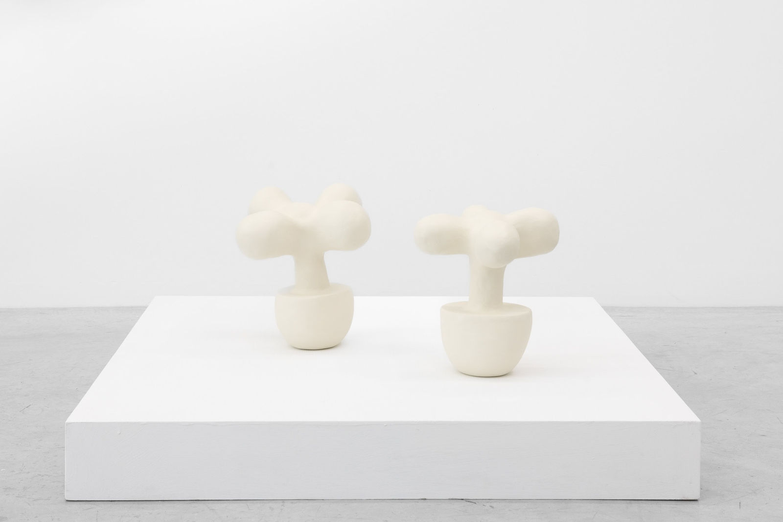 Re Jin Lee, Plant No. 21 , 2025