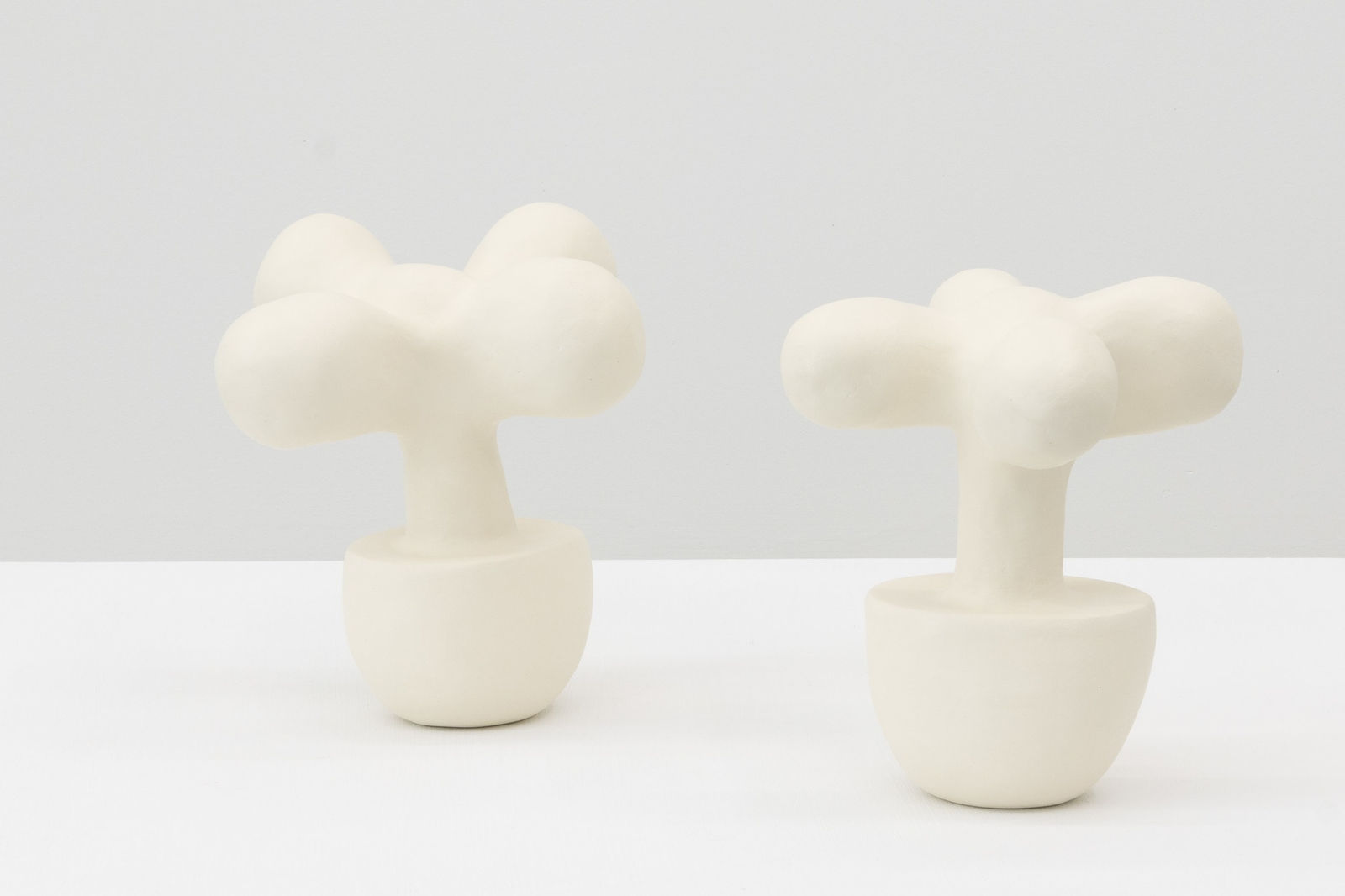 Re Jin Lee, Plant No. 22, 2025