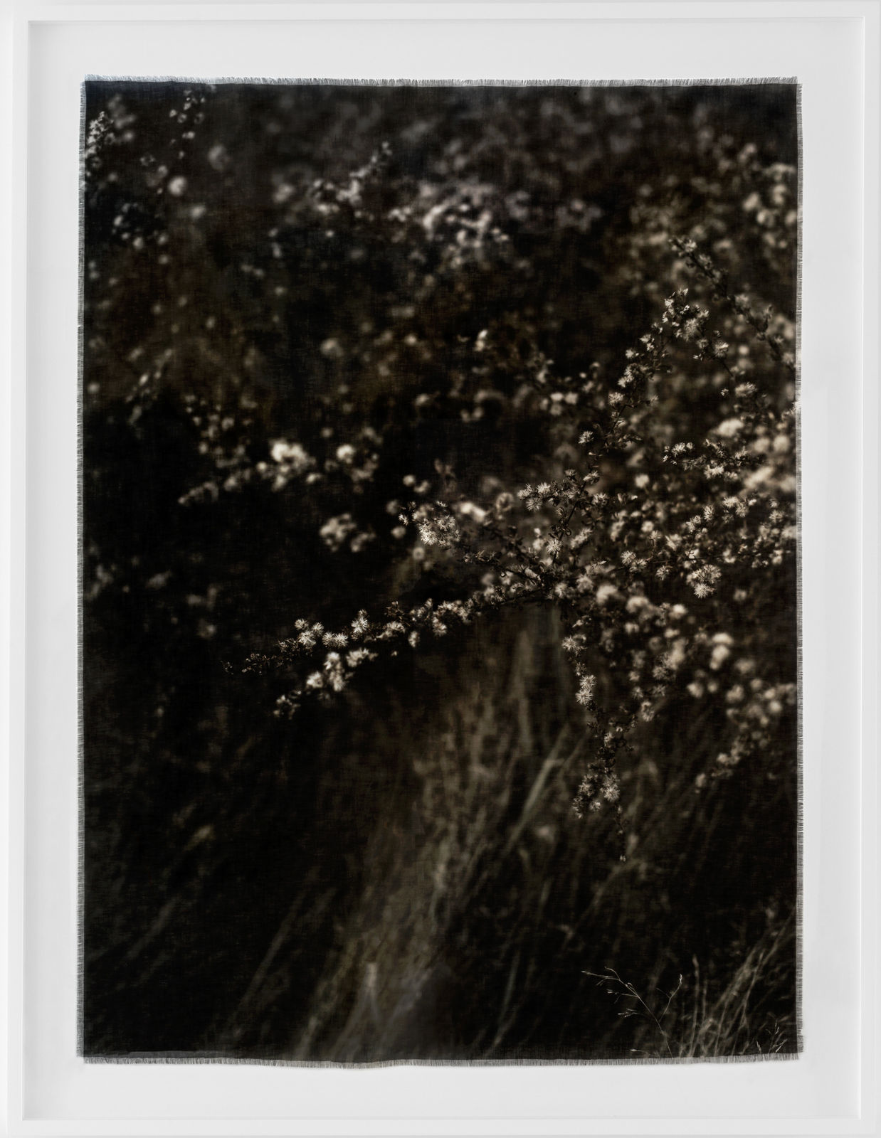 Cas Friese, linen no. 5654, 2022