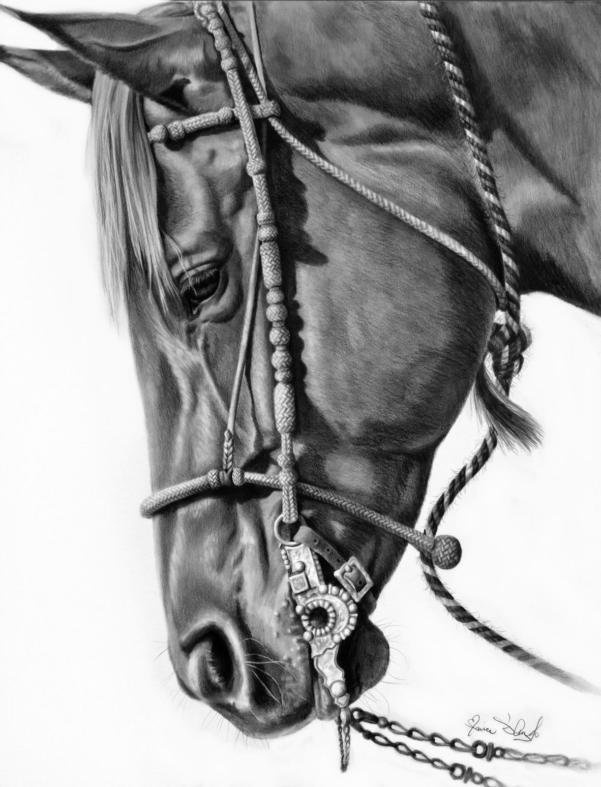 Maria D'Angelo, BOSALITA