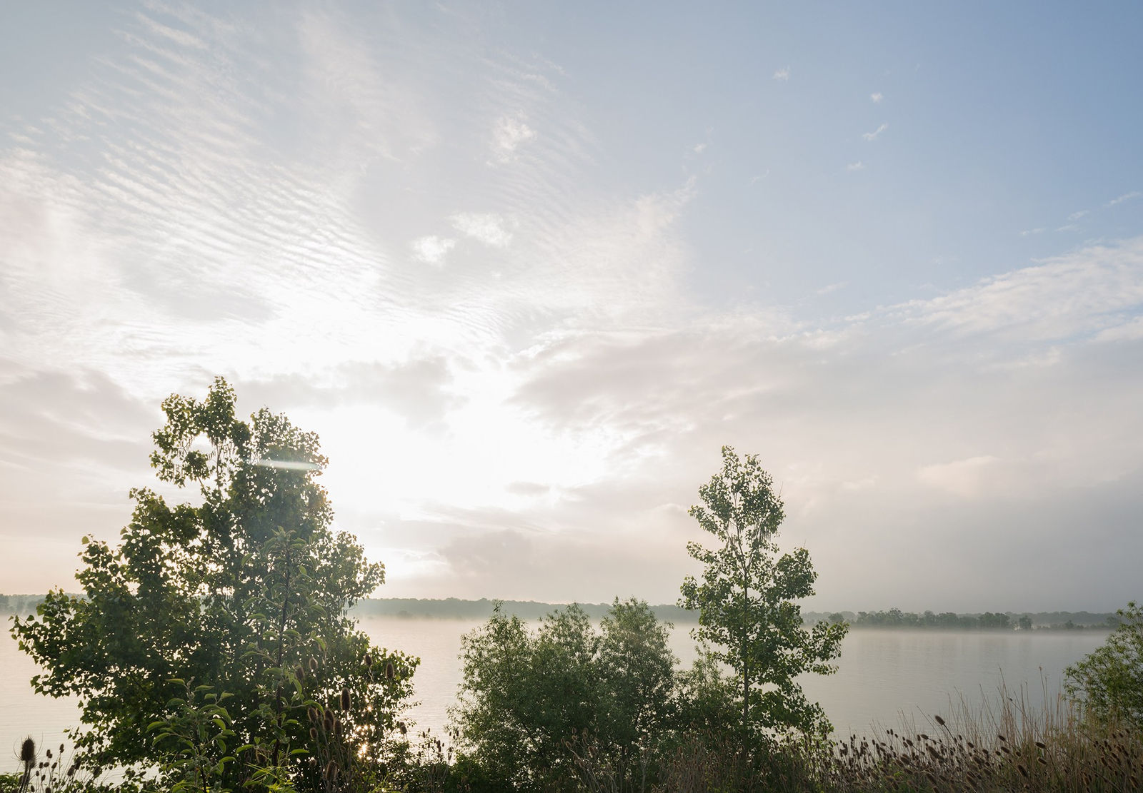 Jeanine Michna-Bales, Freedom. Canadian soil, Sarnia, Ontario, 2014