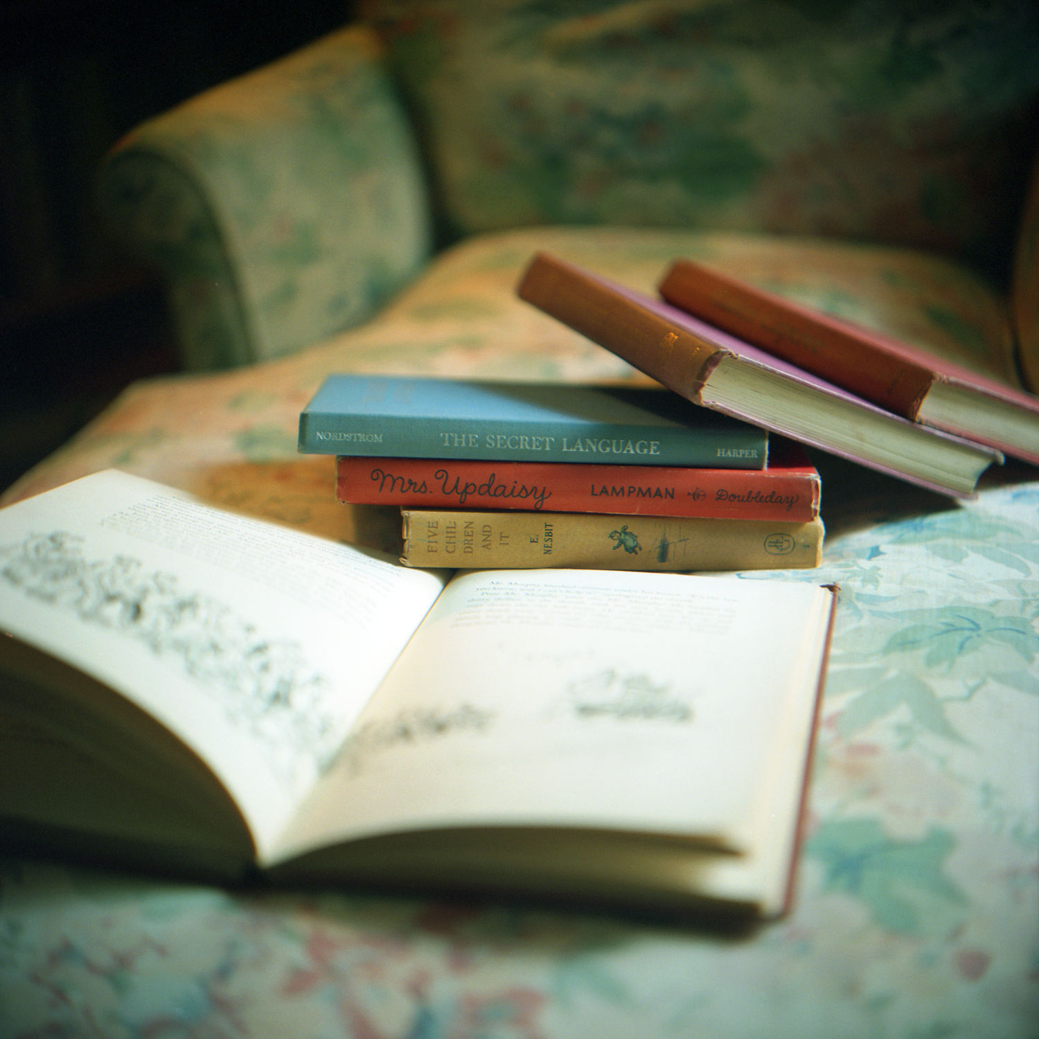 Aline Smithson, The Secret Language, 2012