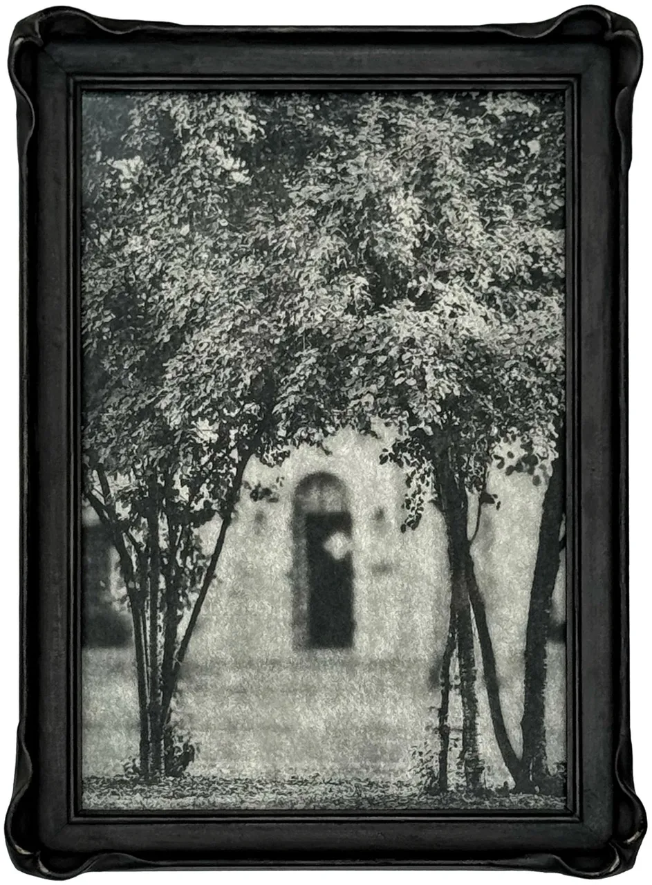 Wendi Schneider, The Arched Doorway, 2024