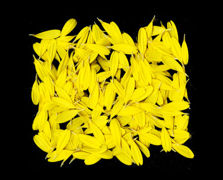 Allen Cooley, Deconstructed #2, 2014