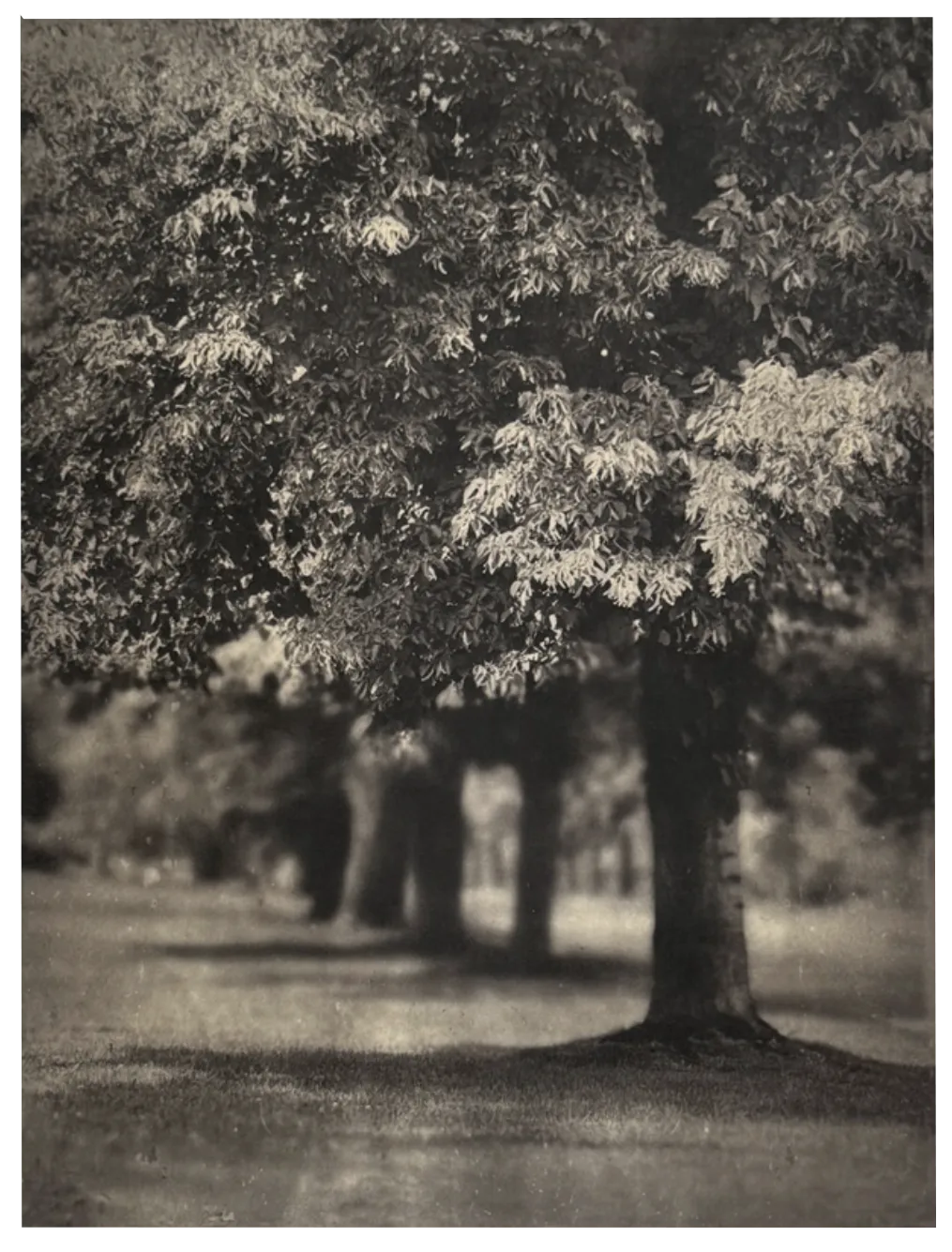 Wendi Schneider, The Beckoning, 2024