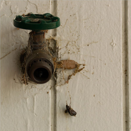 Allen Cooley, Spigot, 2012