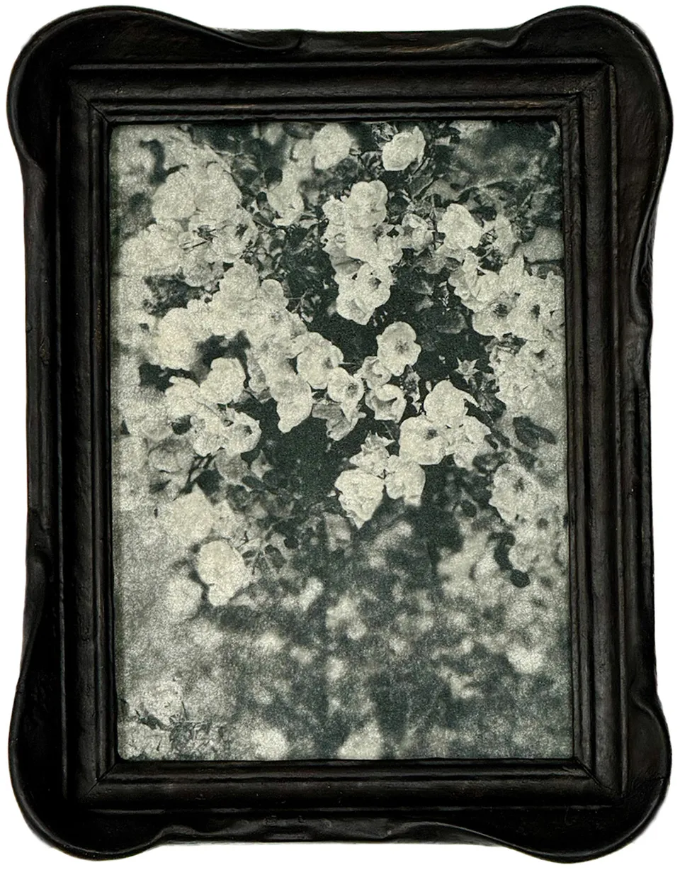 Wendi Schneider, The Rose Bush, 2024