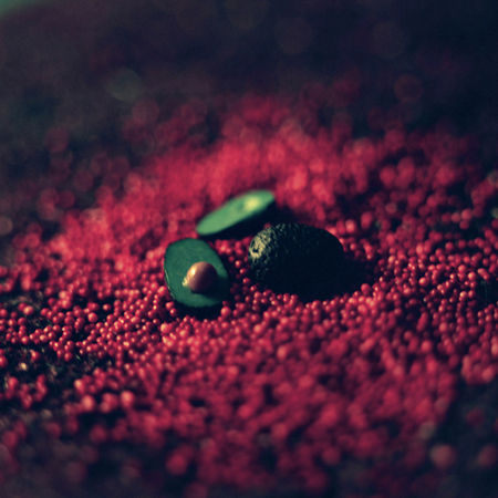 Marlene Hawthrone, I wonder Do crooked little girls grow into gnarled women Knobby limbs curled defensively around frail body Brittle brown trunk Do crooked little girls grow into gnarled women Do their leaves shrivel, crackled off splintered branches At the mention of uprootDoes their bark grow thick Prohibit pruning Do crooked little girls grow into gnarled women She kept two freeHeld crumpled secret Tucked amid the growth rings Uncle touching wrong skin, 2011