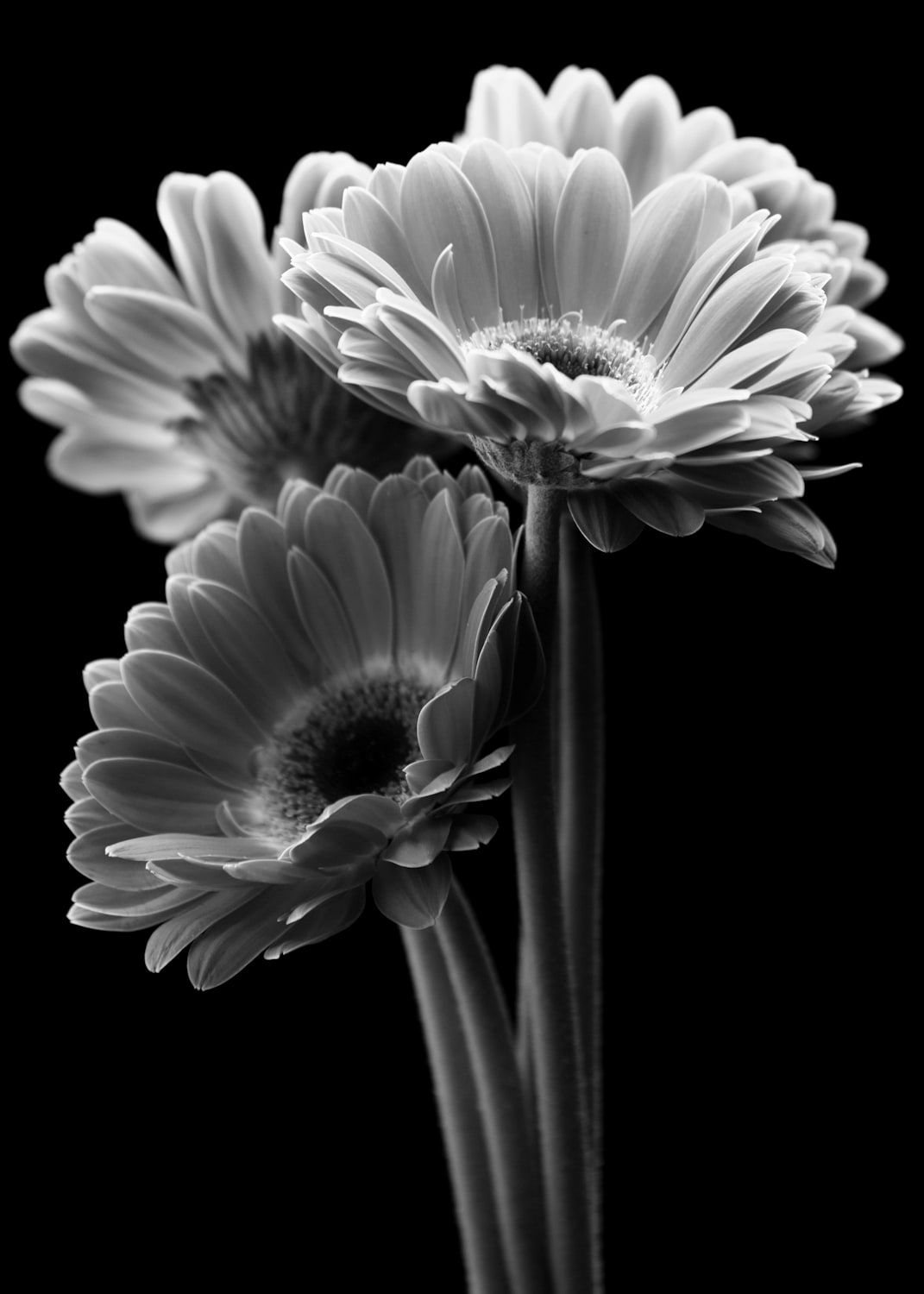 Allen Cooley, In the Beginning, 2014