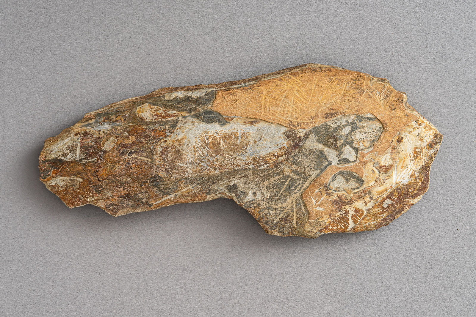 Ioana Gorzo, Milky Way, 2024