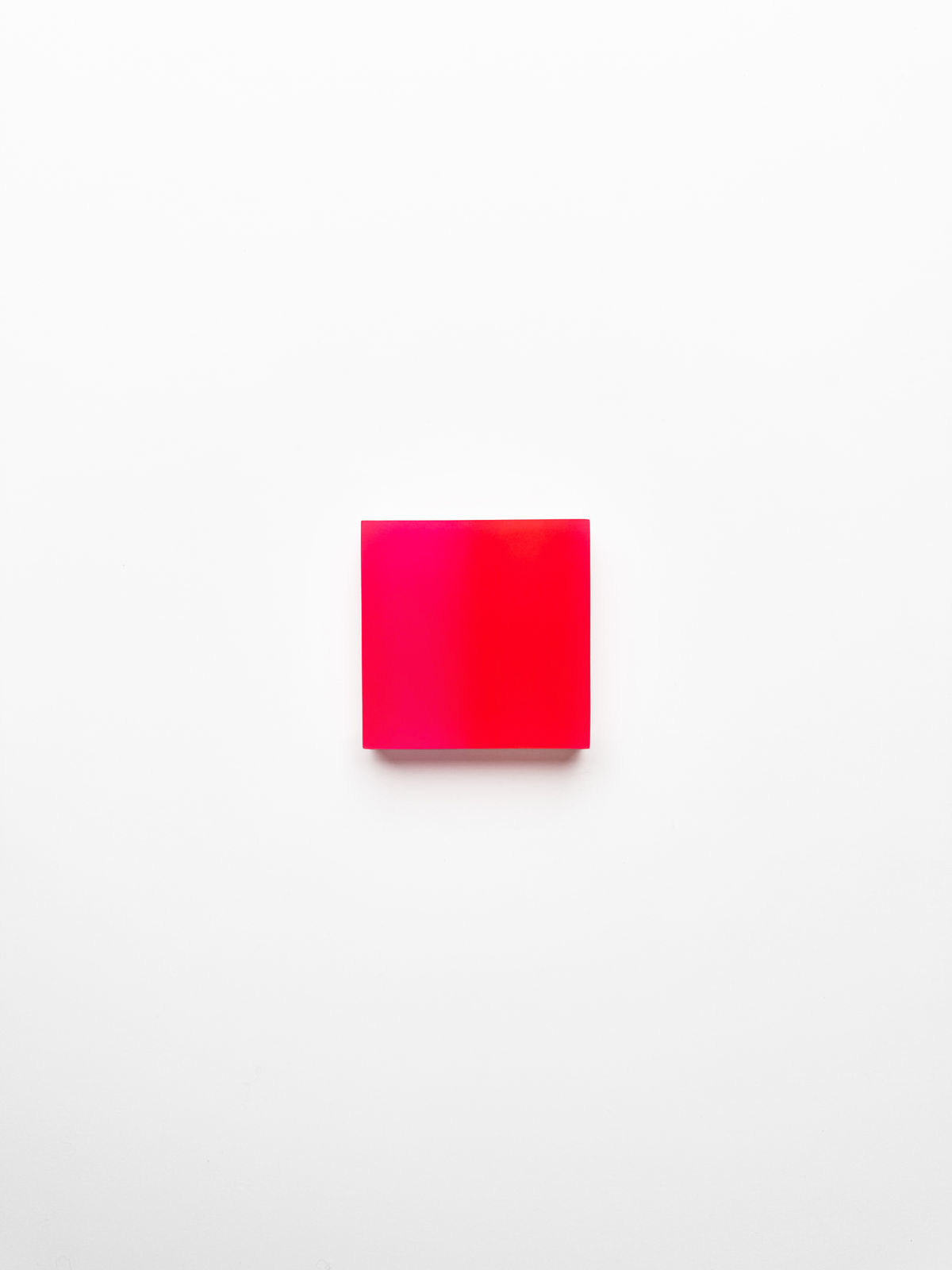 Marike Andeweg, Momentum ‘When Neon Rises’ , 2026