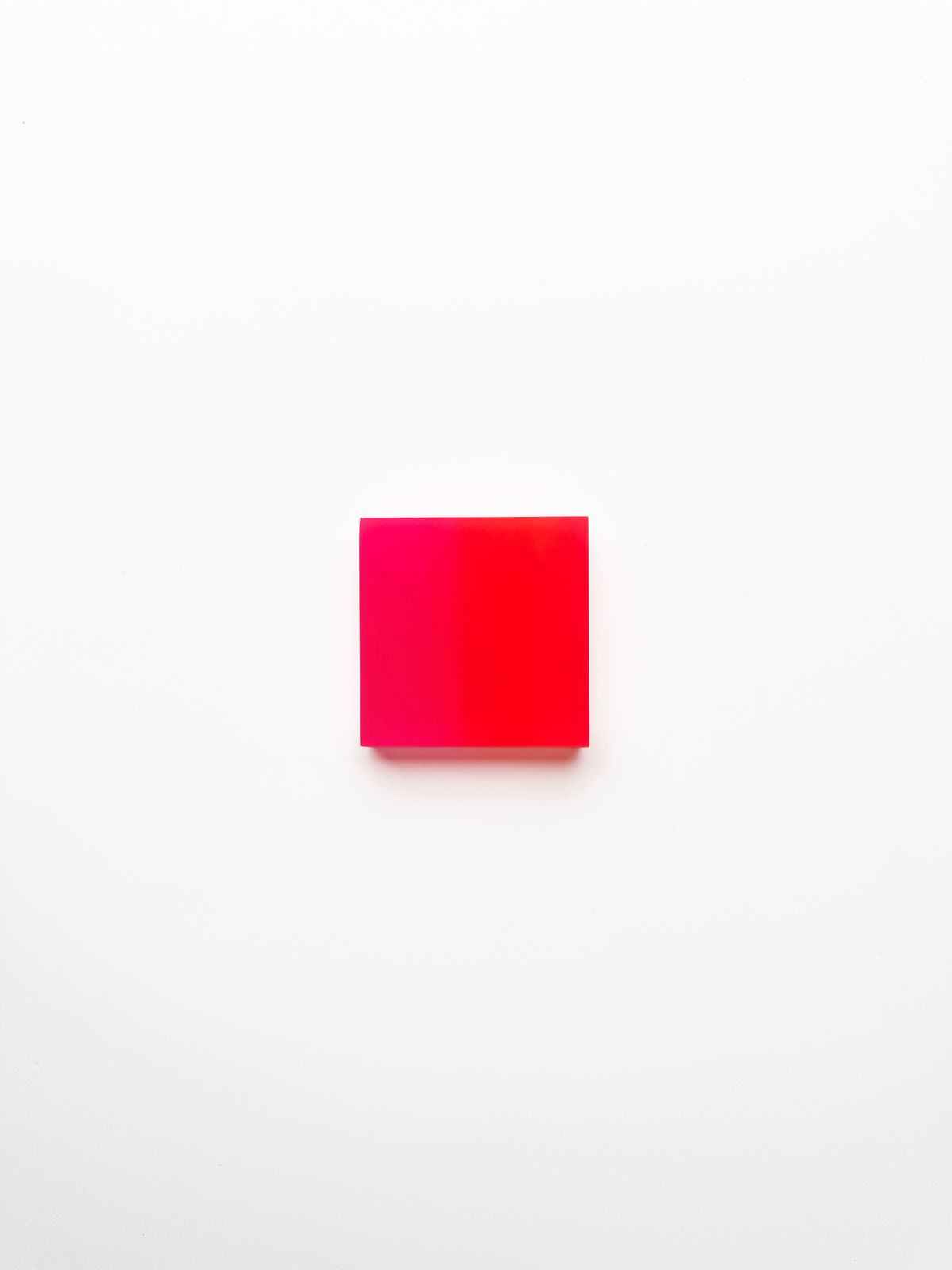 Marike Andeweg, Momentum ‘Fusion’, 2026