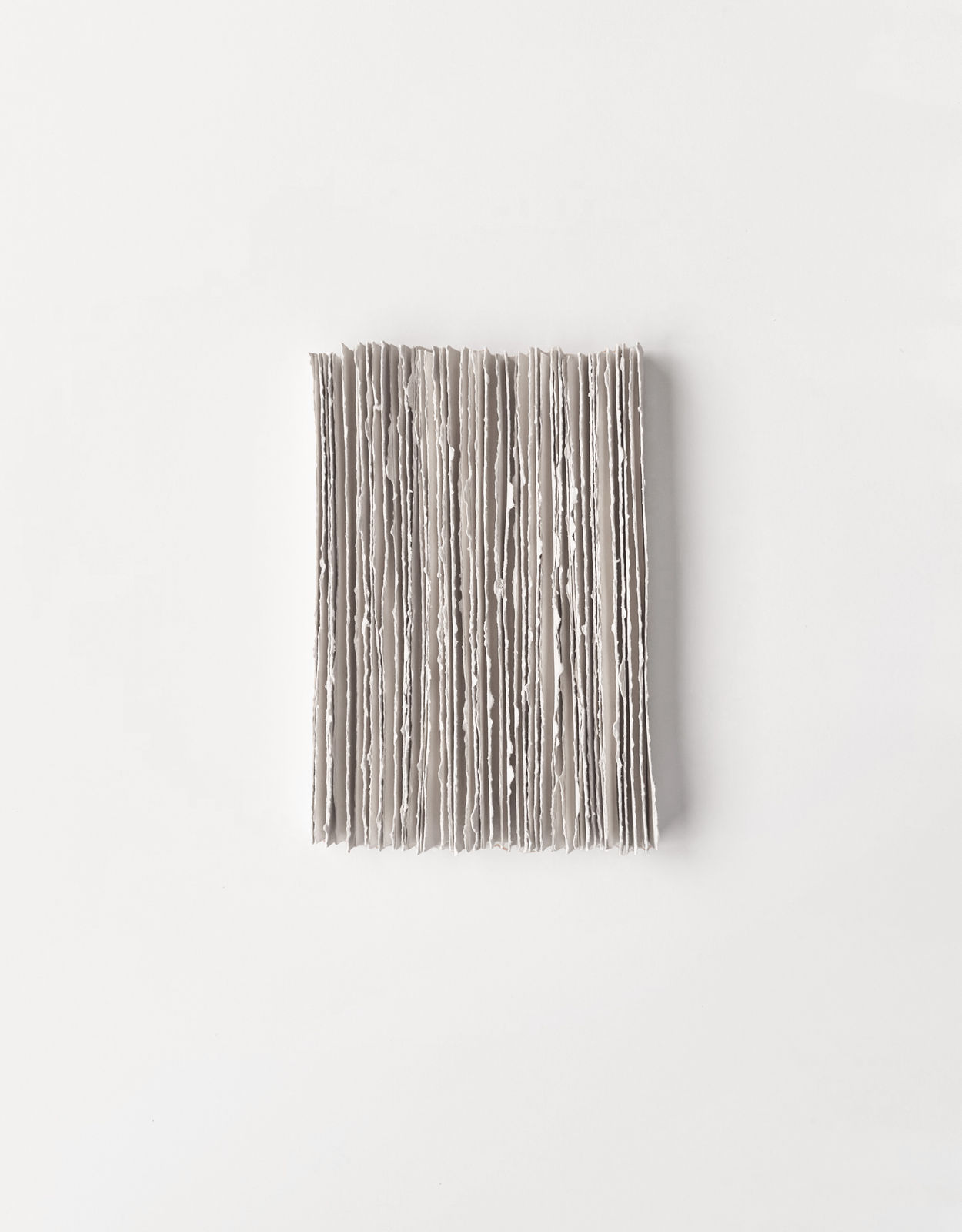 Marike Andeweg, Echo ‘Carte Blanche’, 2026