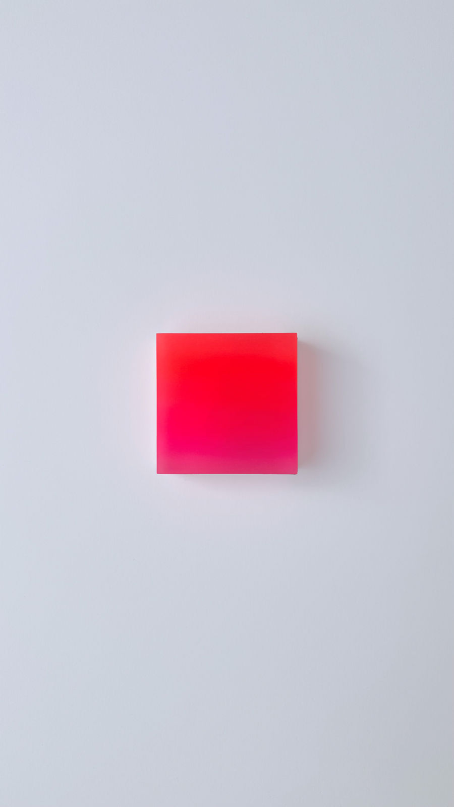 Marike Andeweg, Momentum ‘Festival’, 2026