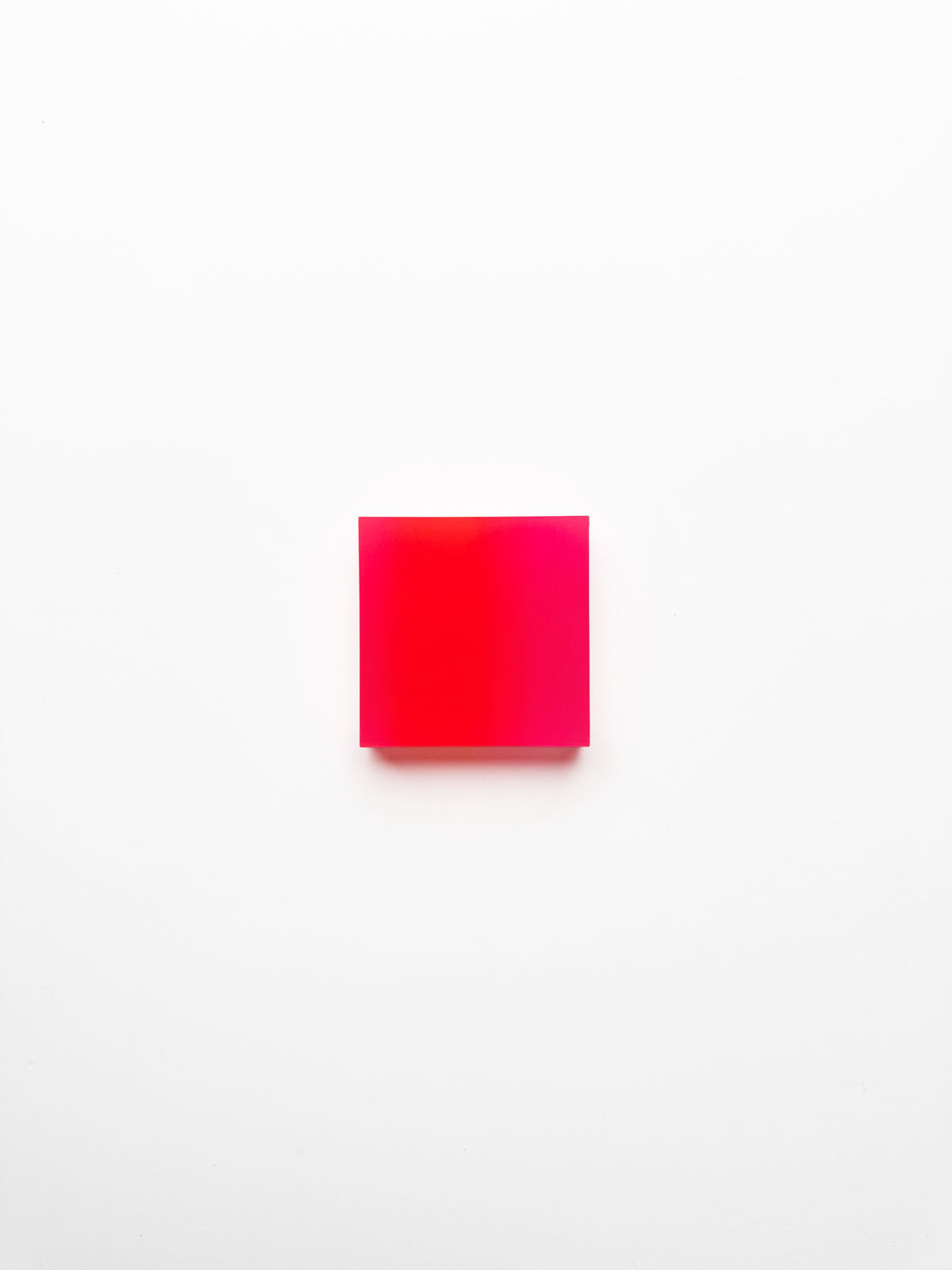 Marike Andeweg, Momentum ‘Coral Lumen', 2026