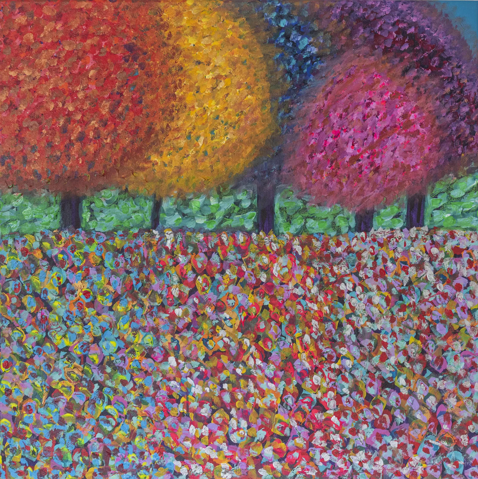 Caroline Boff, Rainbow Fields