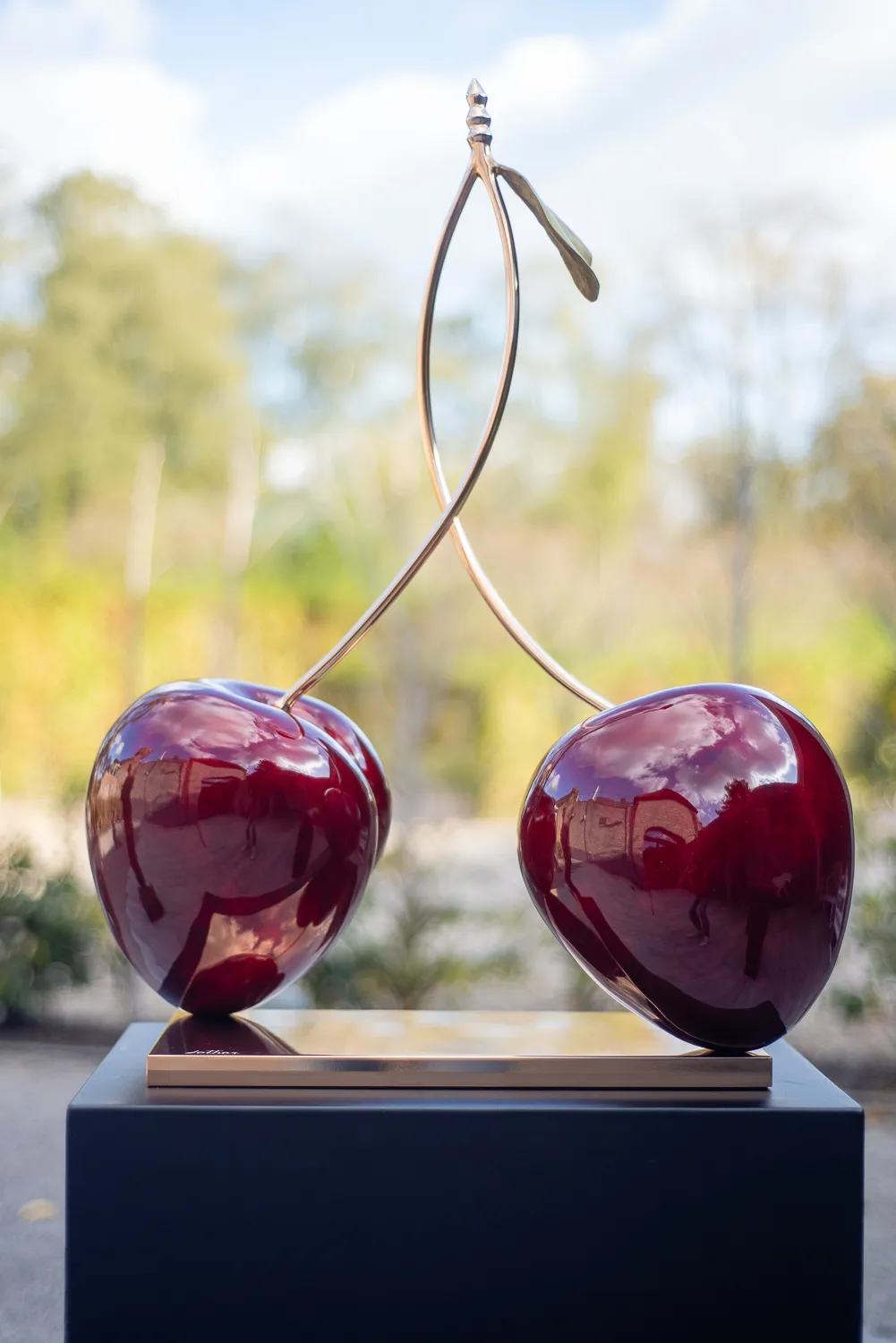 LOTHAR, SWEET HEART MIDDLE LARGE