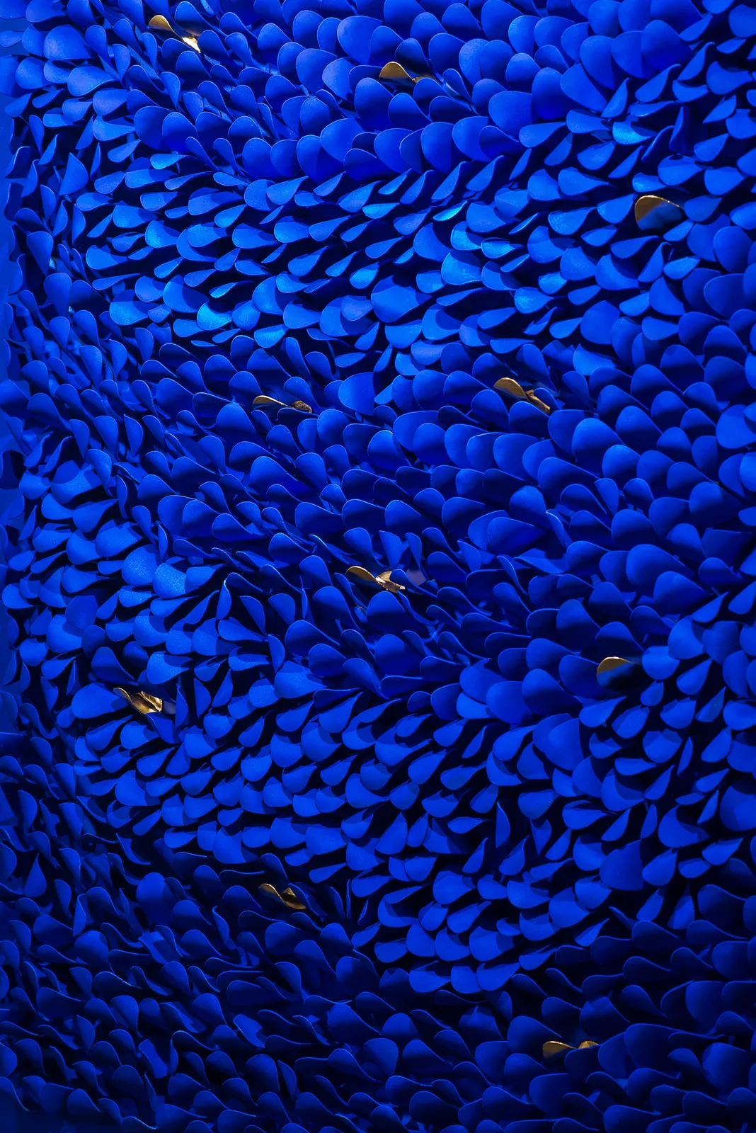 ANS PULLENS, WAVE INTENSE BLUE TOUCH OF GOLD