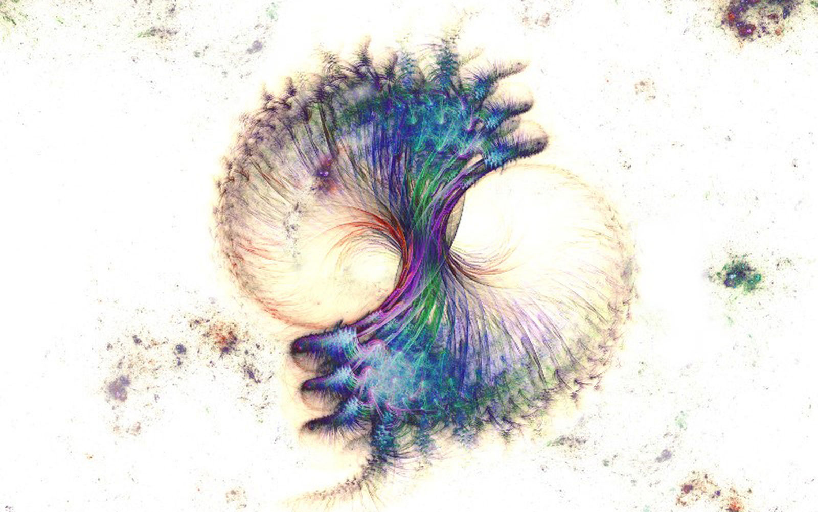 KOEN SOBERON, CORNUCOPIA 2/49