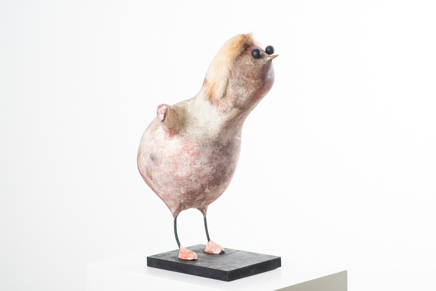 MICHEL FLAMME, ANASTASIA PAPADOPOULOS, 2024