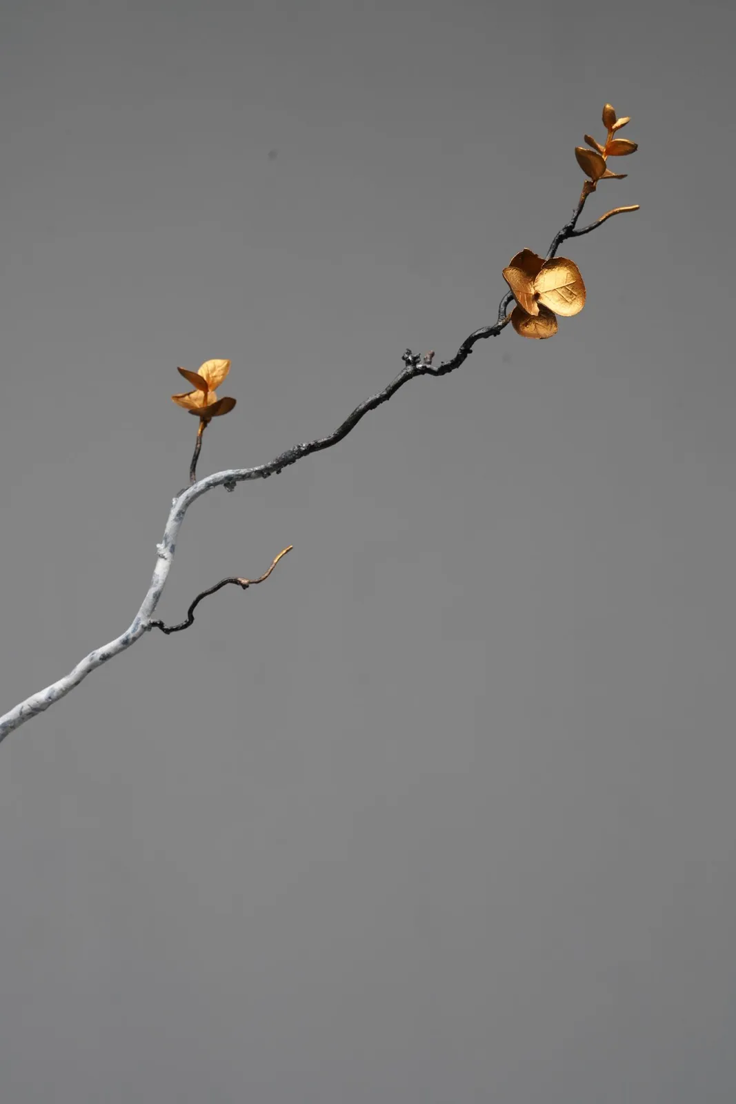 LUO LI RONG, SPIRAL OF DESTINY 1