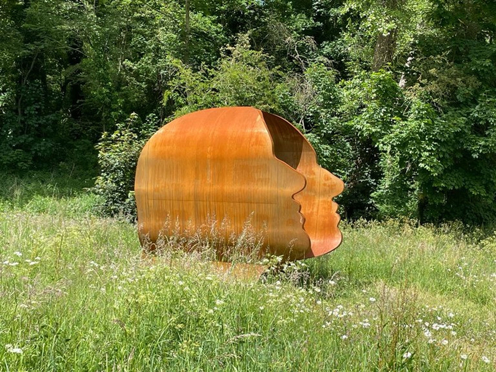 WILLIAM ROOBROUCK, ABSENCE