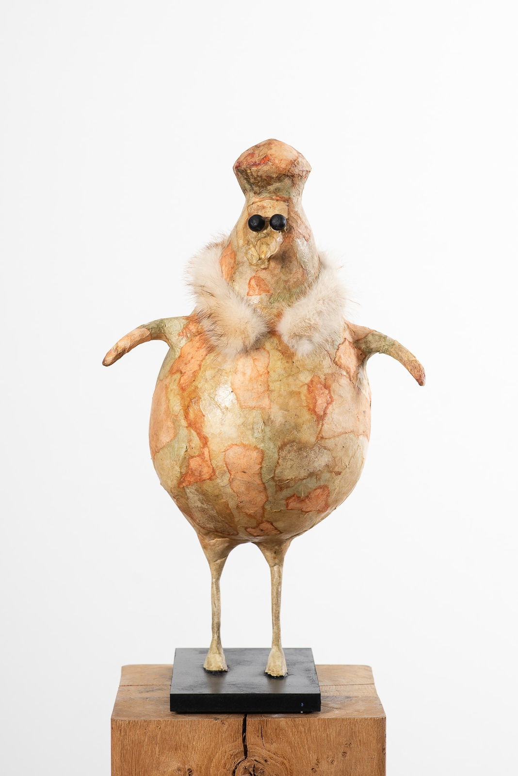 MICHEL FLAMME, IL GOVERNATORE DI CASTELFIORENTINO, 2024