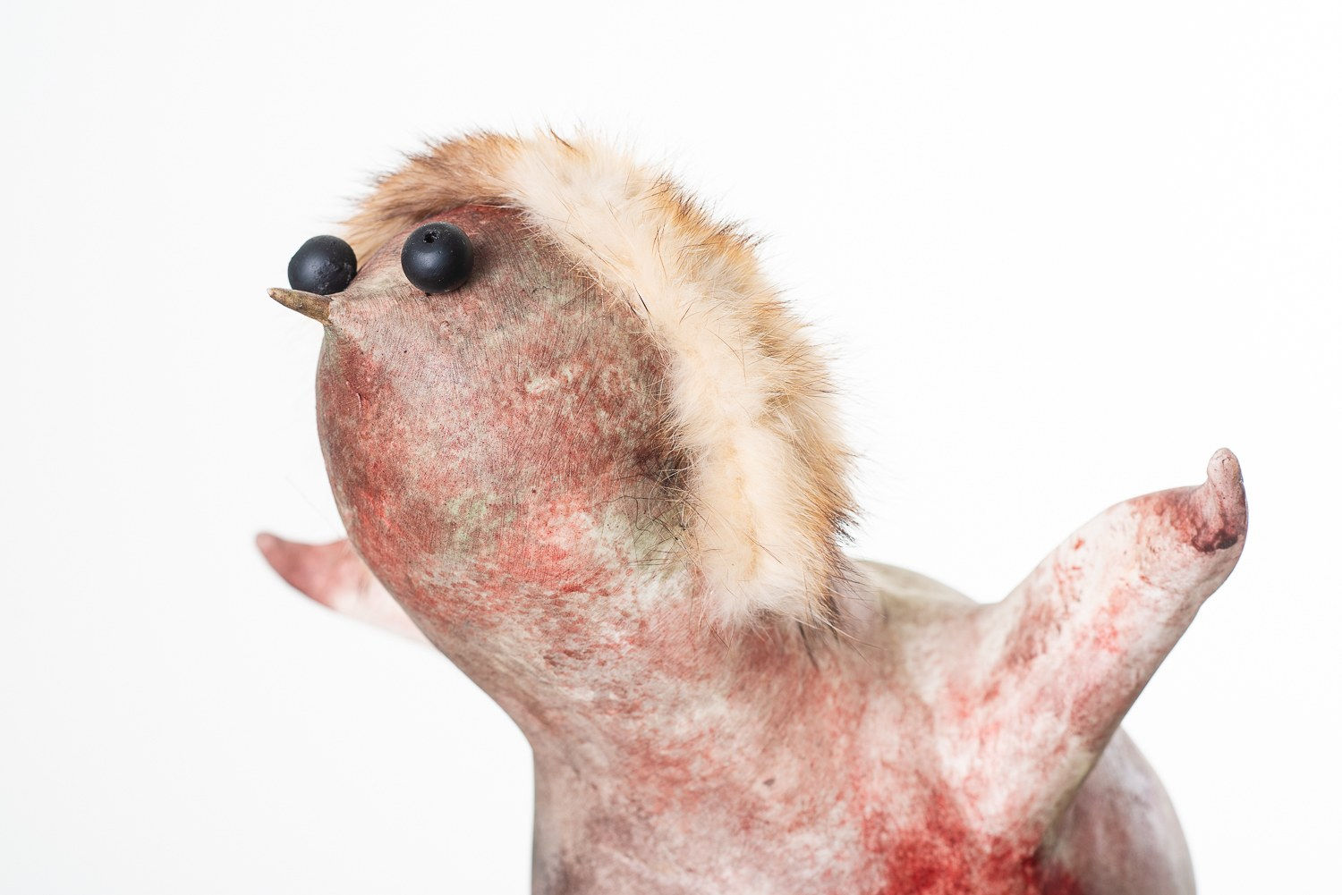 MICHEL FLAMME, ANASTASIA PAPADOPOULOS, 2024