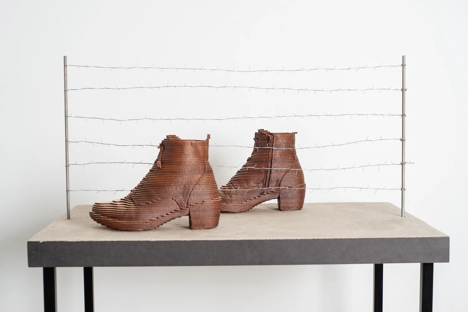 MARIANNE TURCK, WALKING ON THE BORDER