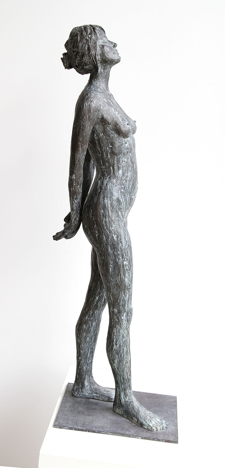 LINDE ERGO, LA SOURCE