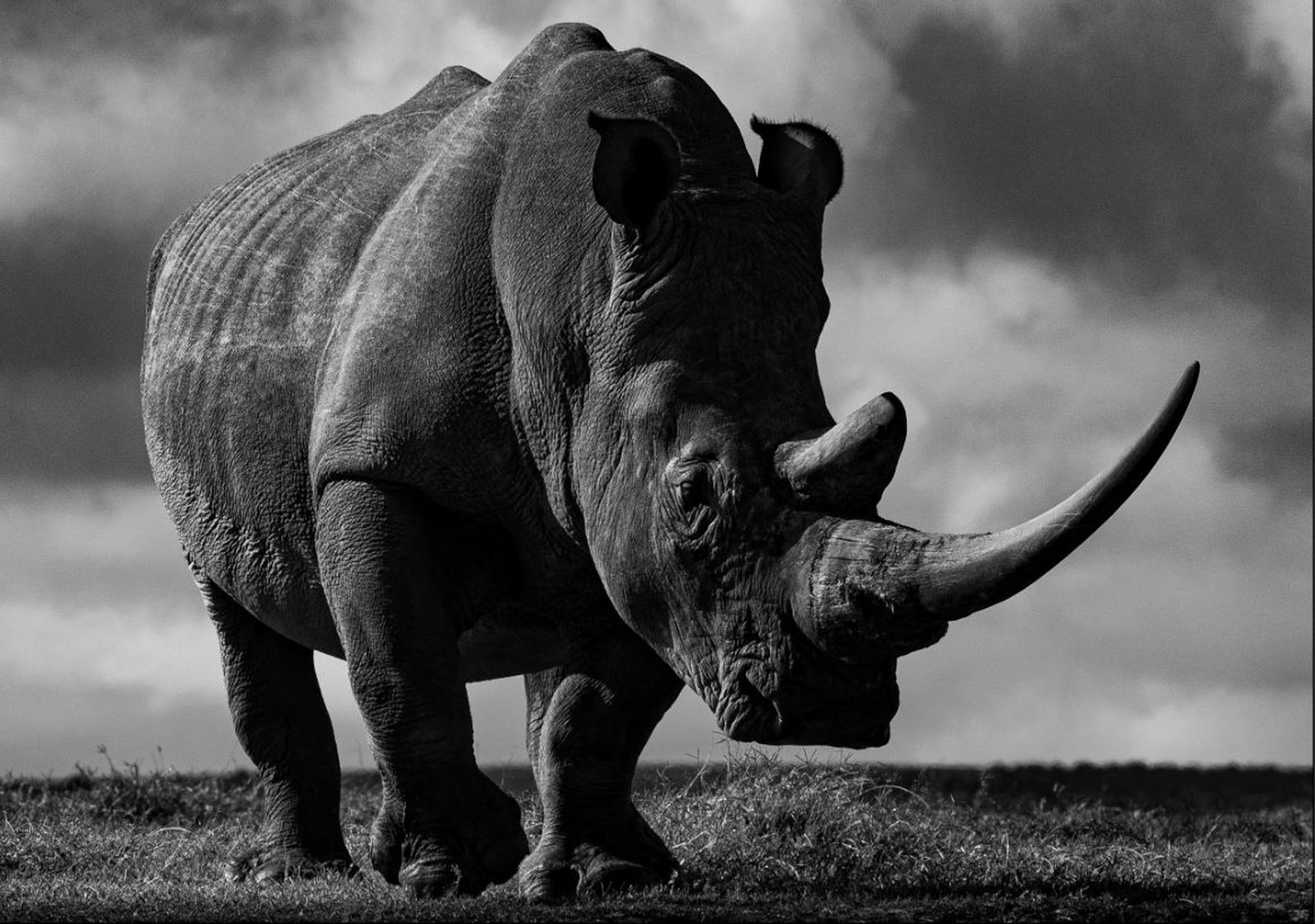 LARS BEUSKER, RELICT