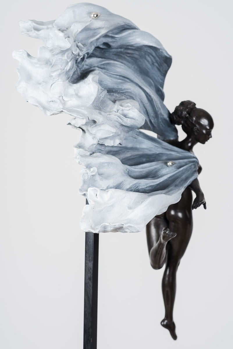 LUO LI RONG, AILES DE VENT