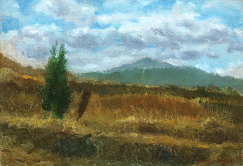 김소정 KIM, So Jeong, 구름과 나무, 2000