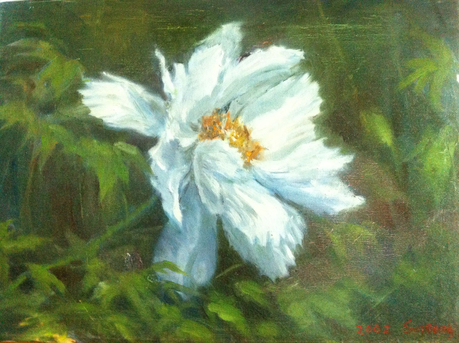 김소정 KIM, So Jeong, 하얀 목단, 2002