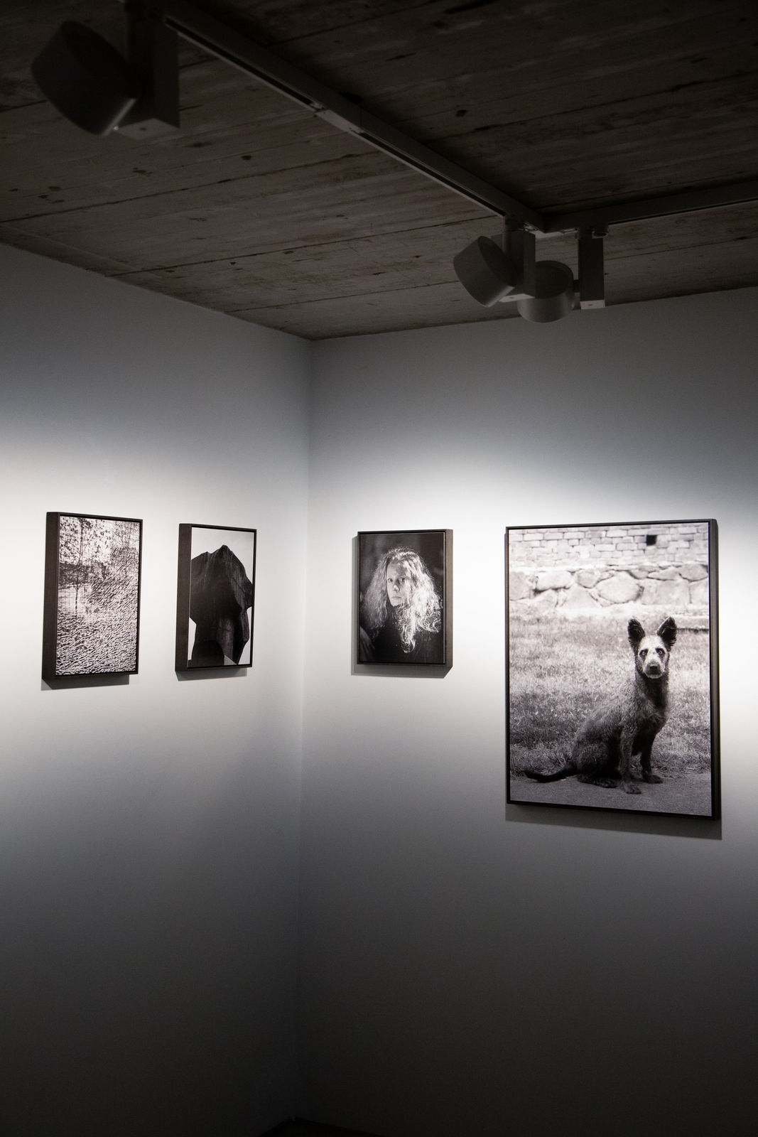 Tobias Kruse, #048, 2019