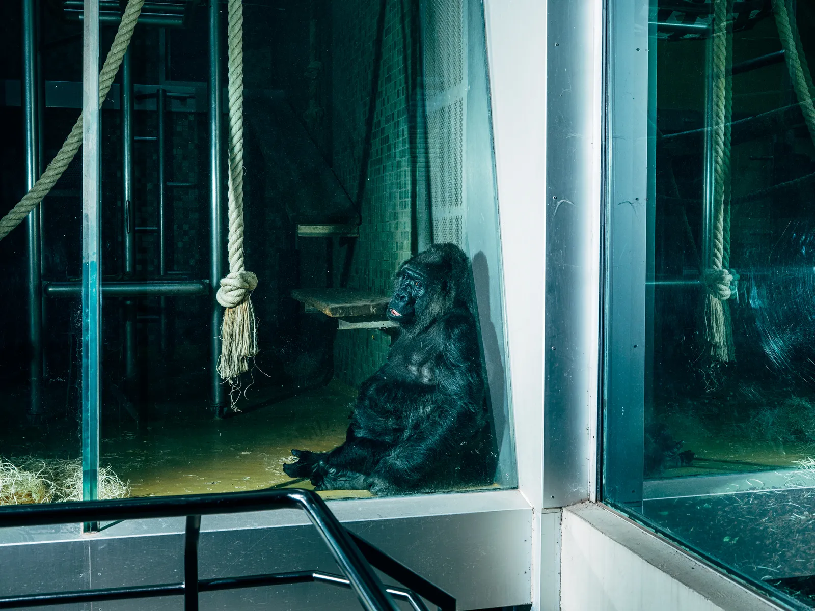 Nikita Teryoshin, Life Sentence 01, 2023