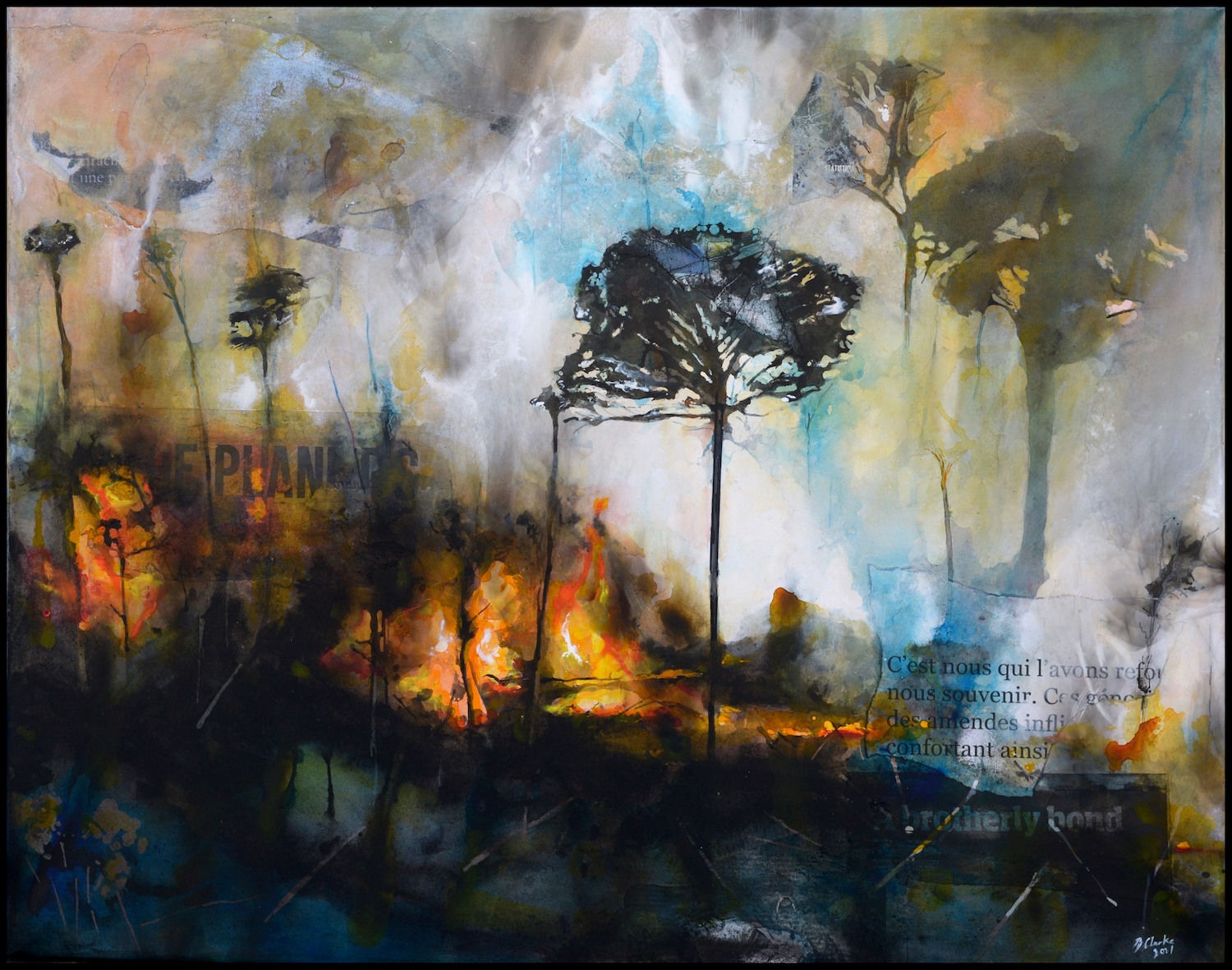 Bruce Clarke, Plantes, 2021