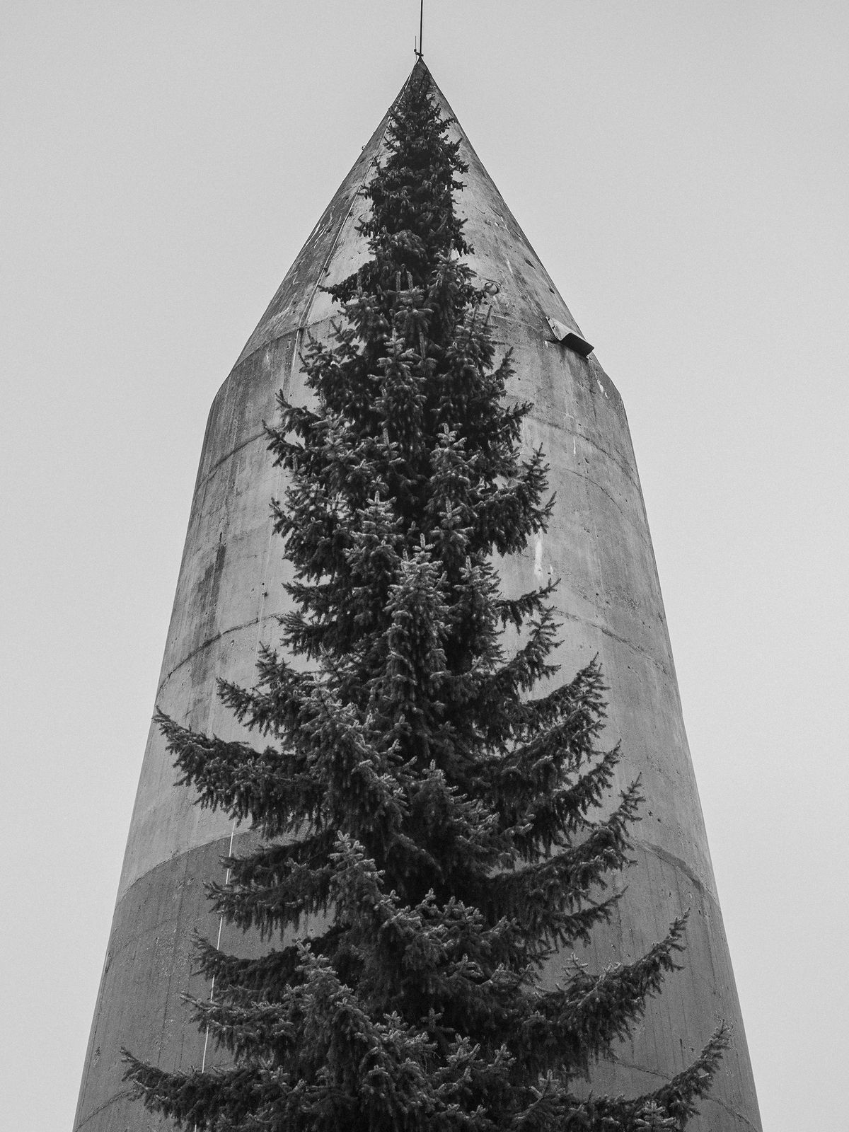 Tobias Kruse, #024, 2019