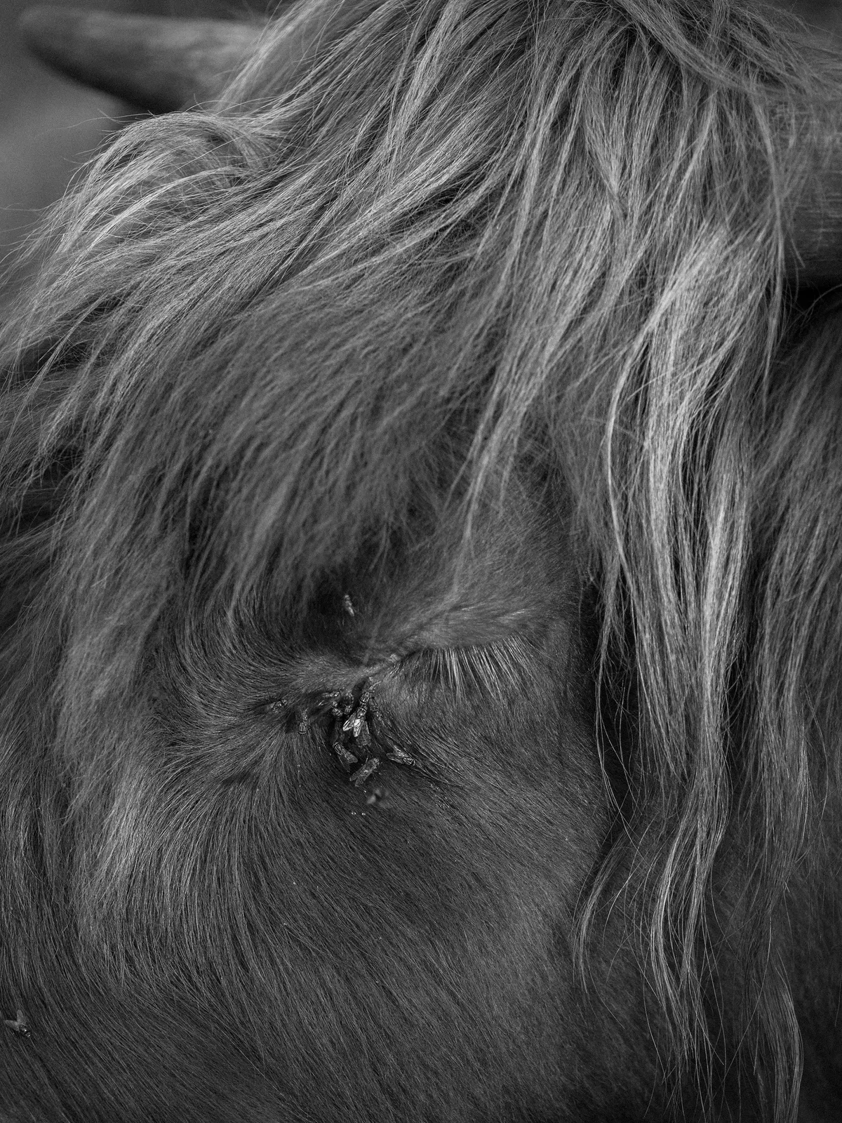 Tobias Kruse, #005, 2019