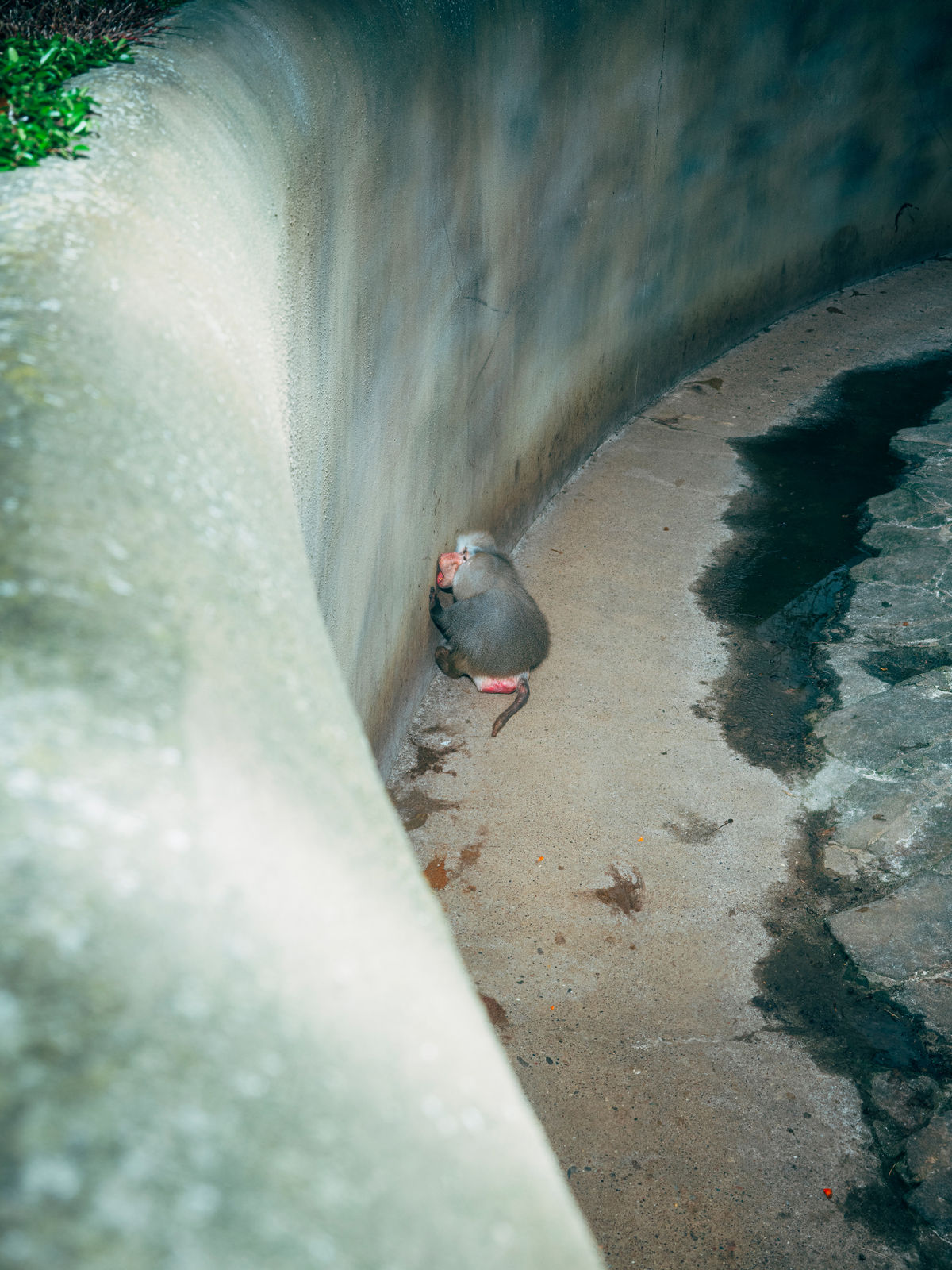 Nikita Teryoshin, Life Sentence 08, 2023