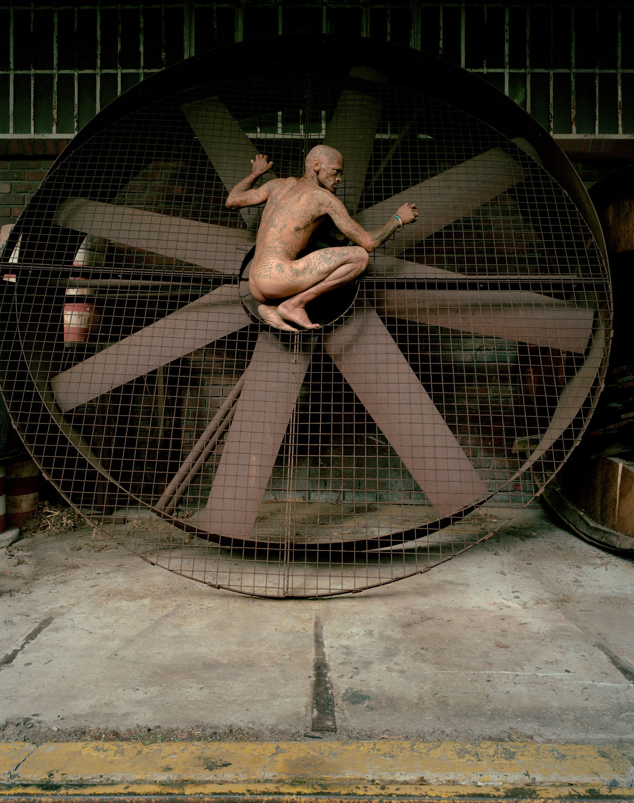 Gordon Clark, Rebirth, 2013