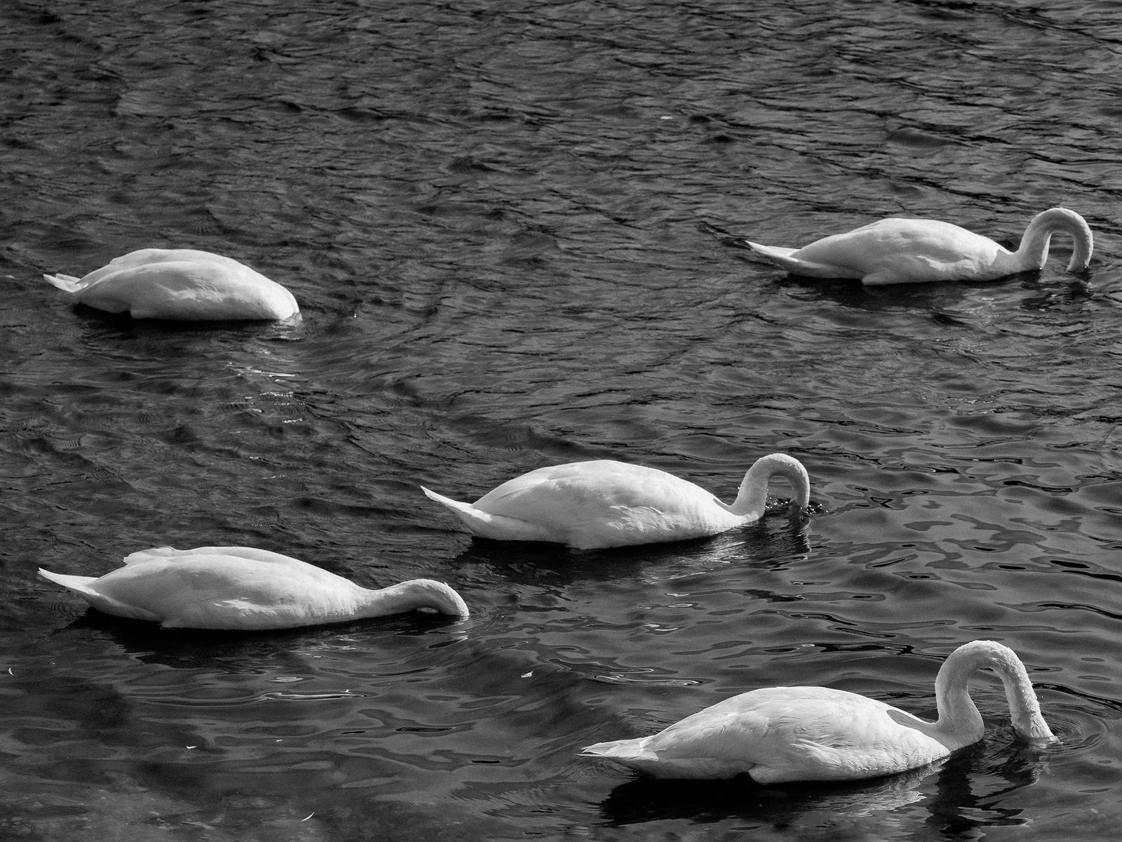 Tobias Kruse, #015, 2019